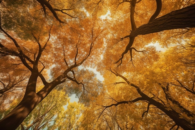 Un albero con foglie d'arancio e la parola albero su di esso