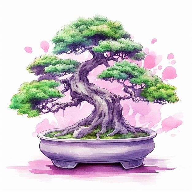 Un albero dei bonsai in una pentola con uno sfondo acquerello rosa.