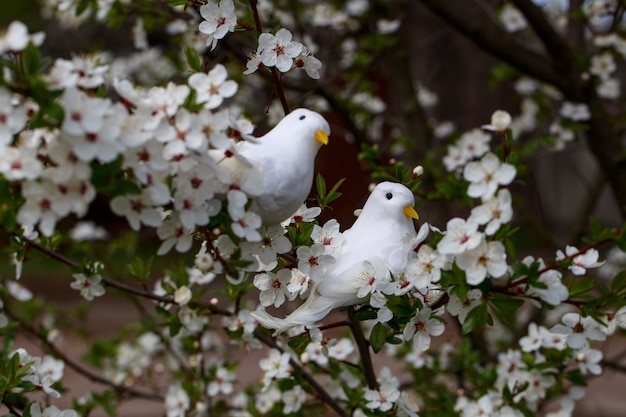 un albero di ciliegio sboccia in un giardino primaverile e due uccelli bianchi su un albero