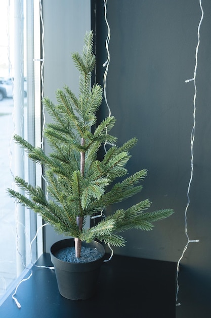 Un albero di Natale artificiale si trova su una finestra decorata con ghirlande di lampadine