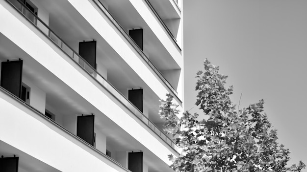 un albero è di fronte a un edificio con uno sfondo celeste