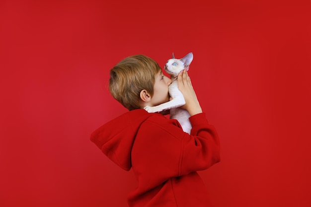 Un allegro ragazzo vestito di rosso si avvicina al viso di un gattino bianco e lo bacia