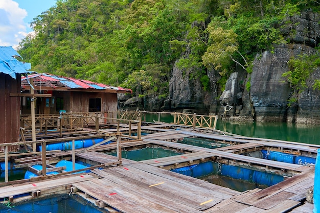 Un allevamento ittico galleggiante sull'isola di Langkawi in Malesia.