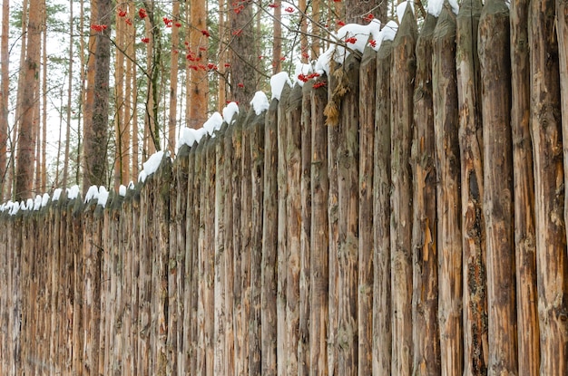 Un alto recinto di tronchi. Una palizzata di alberi.