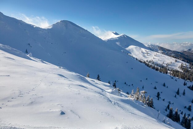 Un ambiente di valanghe nelle bellissime montagne alpine innevate sotto il ventoso cielo blu Marmarosy i Carpazi