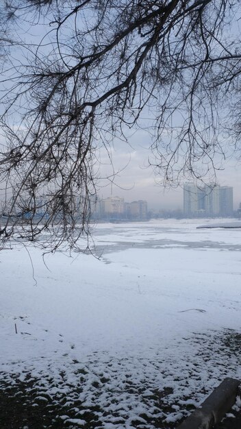 Un ambiente naturale in inverno