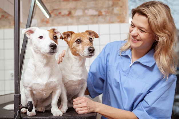 Un'amichevole veterinaria che lavora nella sua clinica