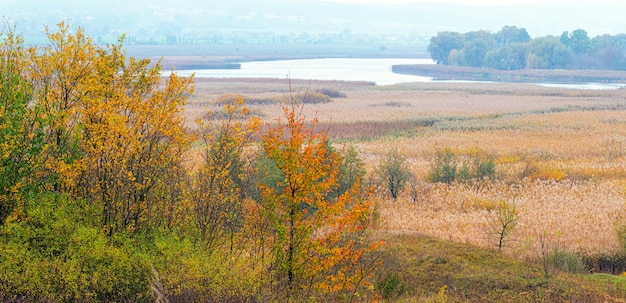 Un'ampia pianura con alberi e un fiume in lontananza in autunno dai colori caldi