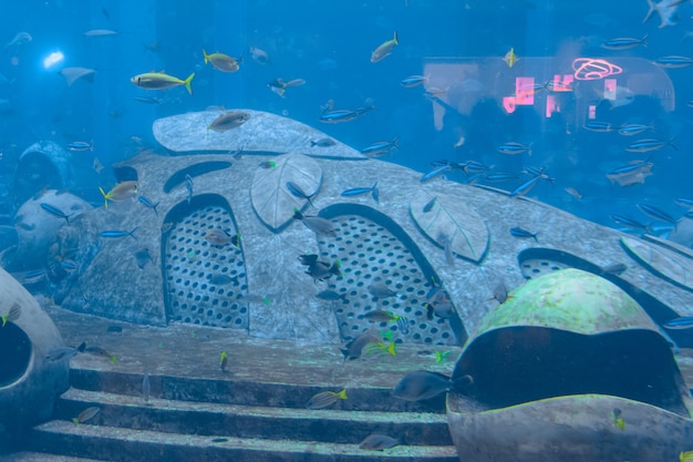 Un'ampia varietà di pesci (più di 500 specie di pesci, squali, coralli e crostacei) in un enorme acquario nell'Hotel Atlantis sull'isola di Hainan. Sanya, Cina.