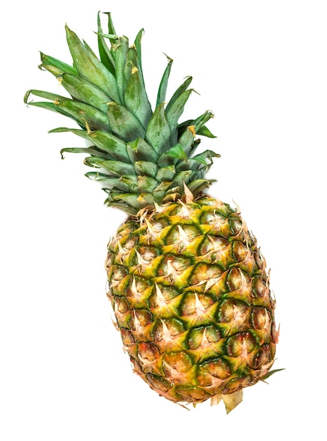 Un ananas con uno sfondo bianco