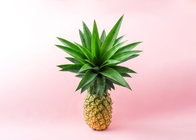 Un ananas su sfondo rosa chiaro.