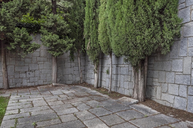 Un angolo recintato di un parco con cipressi