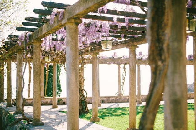 Un antico arco con colonne in pietra e travi in legno con sinuosi glicini.