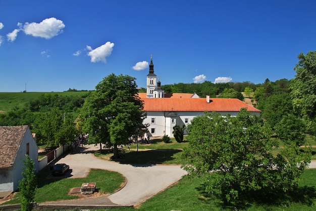 Un antico monastero ortodosso di Krushedol, Serbia, Balcani