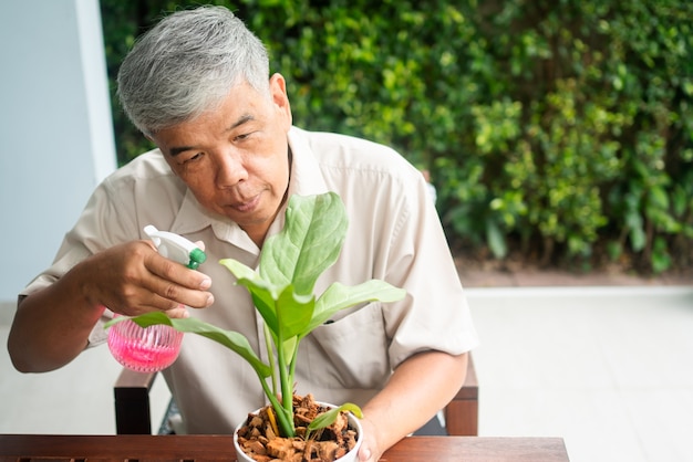 Un anziano asiatico felice e sorridente sta piantando per hobby dopo il pensionamento in una casa. Concetto di uno stile di vita felice e di una buona salute per gli anziani.