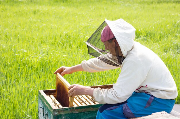 Un apicoltore lavora per raccogliere il miele. Concetto di apicoltura Lavorare all&#39;apiario