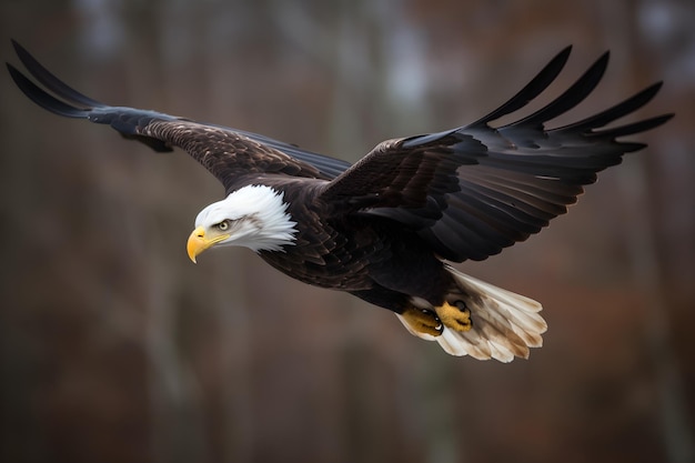 Un'aquila calva che vola nell'aria