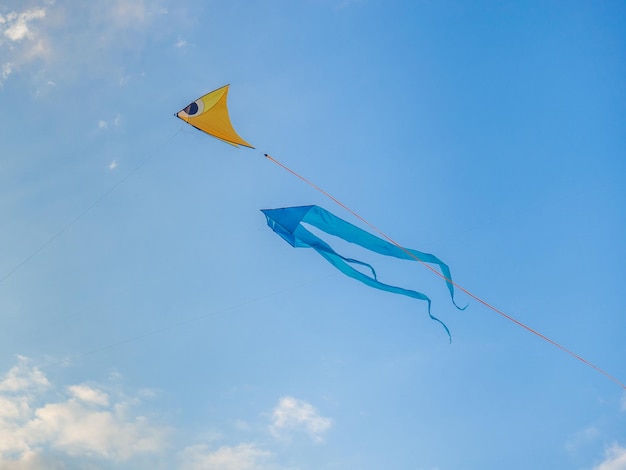 Un aquilone nel cielo Verso l'alto Wind Kite Festival Giocattoli colorati La gente fa volare gli aquiloni La bellezza nel cielo