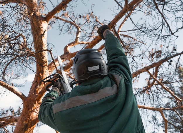 Un arborista con un casco taglia i rami di un albero asciutto di emergenza Un alpinista di altezza lavora tagliando legna