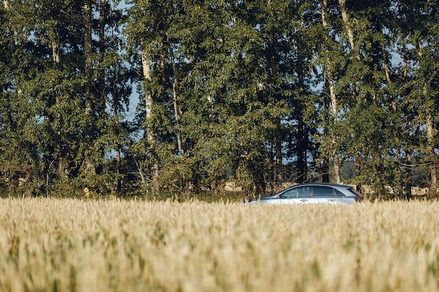 Un'auto semivuota visibile si erge sullo sfondo di alberi verdi d'estate e un campo pgenichny.