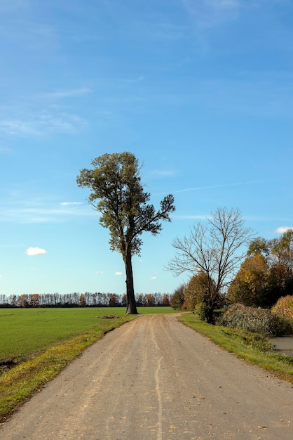 Un'autostrada diritta senza macchine