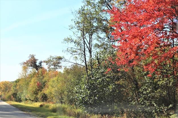 Un autunno colori