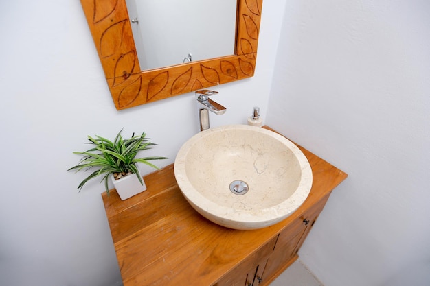 Un bagno con lavabo e specchio con sopra una pianta.