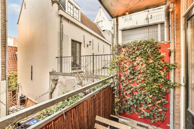 Un balcone con una pianta sul muro e a