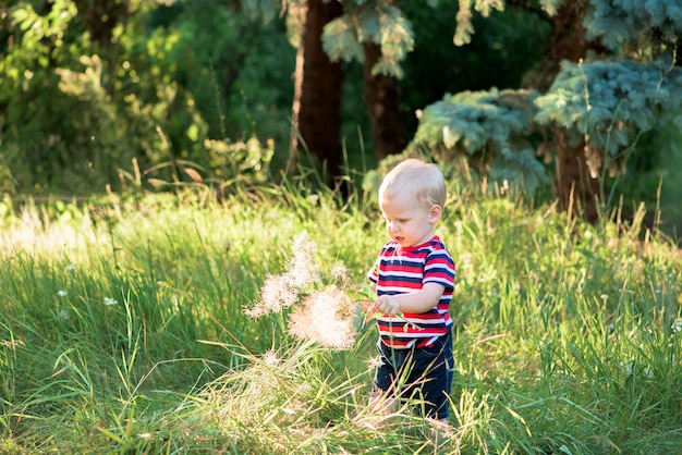 Un bambino che gioca con le bolle di sapone nell'erba tra gli alberi