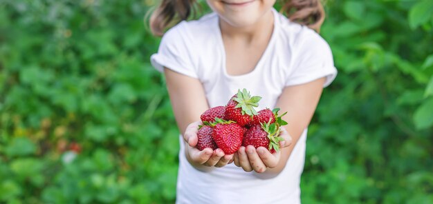 Un bambino con fragole nelle mani