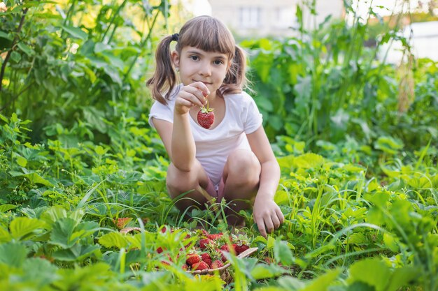 Un bambino con fragole nelle mani