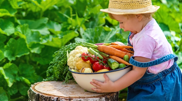 Un bambino con un raccolto di verdure in giardino Messa a fuoco selettiva