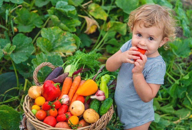 Un bambino con un raccolto di verdure in giardino Messa a fuoco selettiva