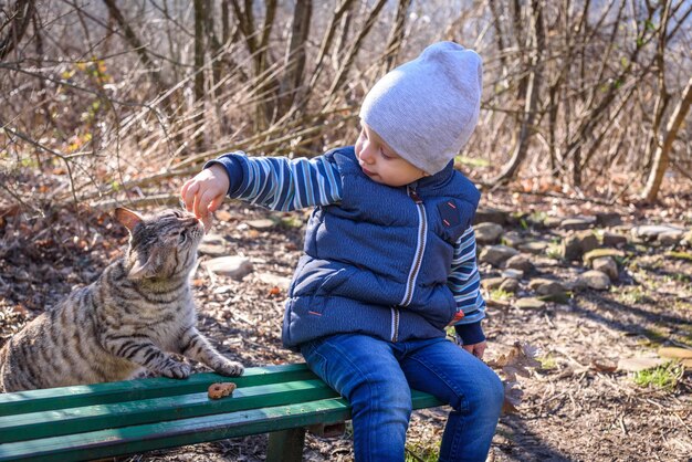 Un bambino dà da mangiare a un gatto randagio Il bambino dà al gatto un pezzo di biscotti