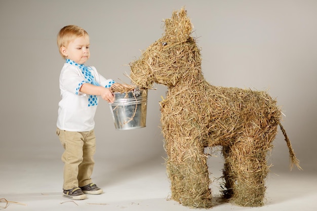 un bambino dai capelli biondi nutre un vitello dal concetto di vitello di paglia di paglia per un'azienda agricola