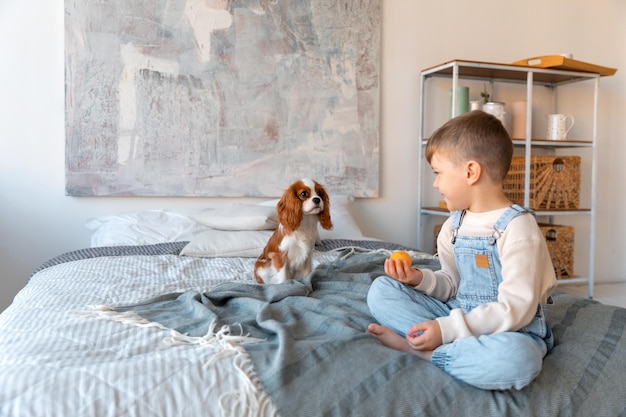 Un bambino in età prescolare gioca con un piccolo papavero di cocker a letto