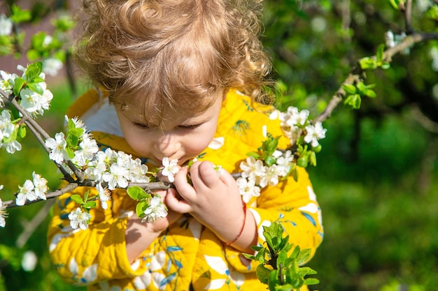 Un bambino in giardino annusa un albero primaverile in fiore Fuoco selettivo