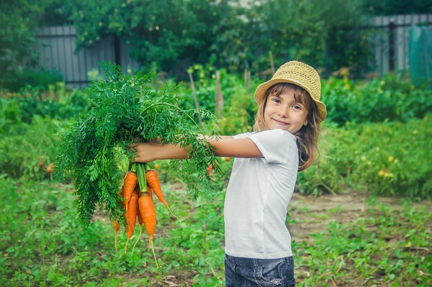 Un bambino in giardino con carote.