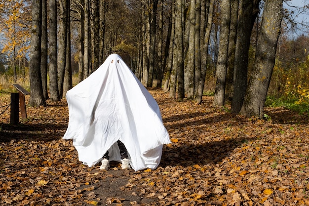 Un bambino in lenzuola con ritaglio per gli occhi come un costume da fantasma in una foresta autunnale spaventa e terrorizza Un simpatico piccolo fantasma divertente Festa di Halloween