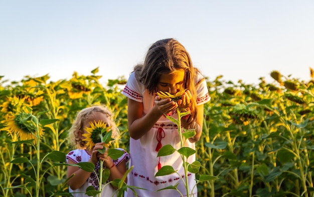 Un bambino in un campo di girasoli Ucraina Messa a fuoco selettiva Natura