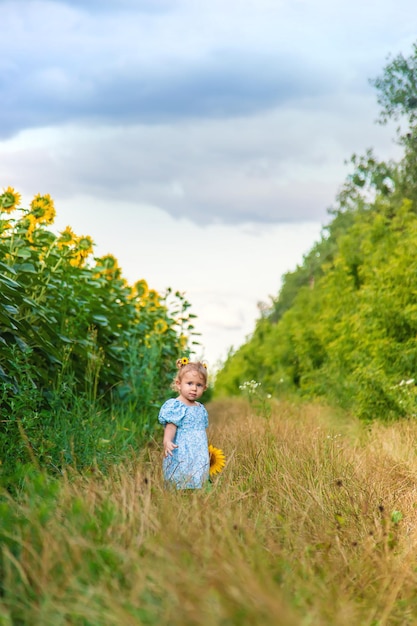 Un bambino in un campo di girasoli Ucraina Messa a fuoco selettiva