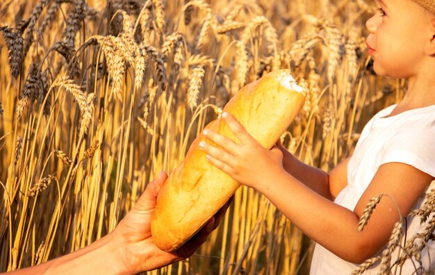 Un bambino in un campo di grano mangia il pane.