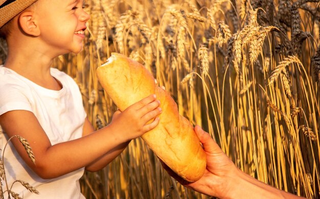 Un bambino in un campo di grano mangia il pane.