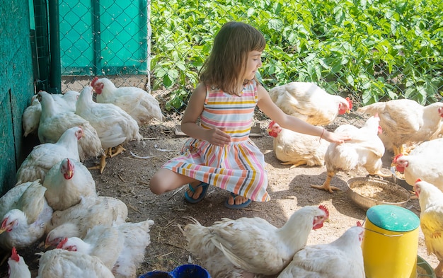 Un bambino in una fattoria con un pollo.