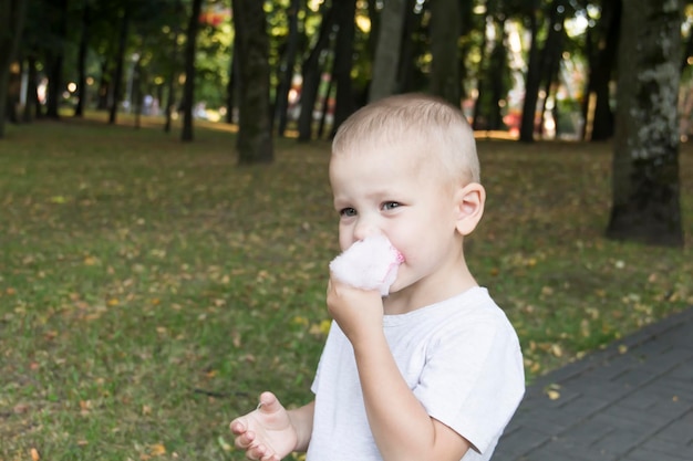 Un bambino mangia zucchero filato rosa in un parco divertimenti