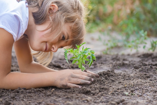 Un bambino nel giardino pianta una pianta.