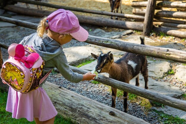 Un bambino nutre una capra in una fattoria Focalizzazione selettiva Bambino