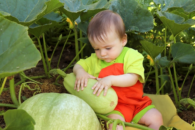 Un bambino piccolo è in giardino con zucchine e zucche