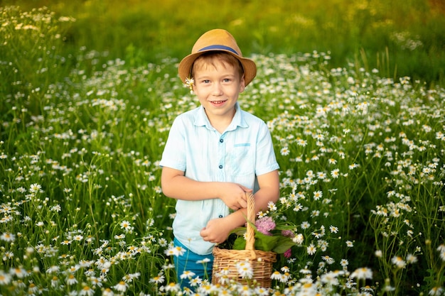 Un bambino piccolo un ragazzo con un cappello in abiti di cotone naturale cammina attraverso un campo di margherite tiene in mano un cesto di fiori sorride