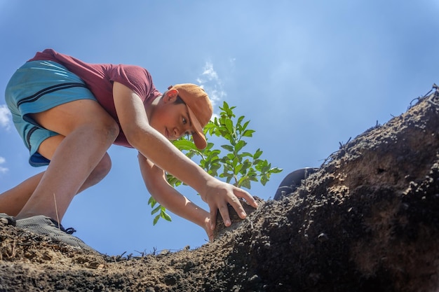 Un bambino scava una buca per piantare un albero